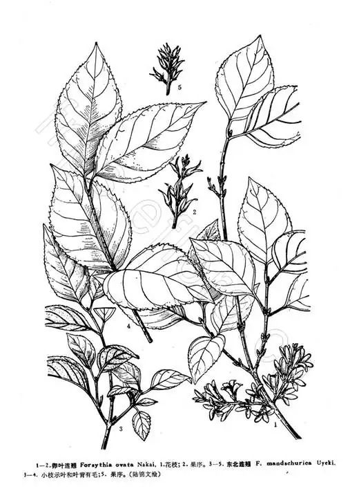 1F6CD